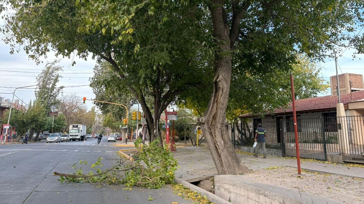 Lo que dejó el viento Zonda en Mendoza: incidentes, daños y una víctima fatal