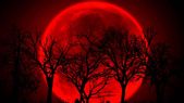 El eclipse de Luna Roja podrá verse en gran parte del Planeta. El eclipse de Luna Roja podrá verse en gran parte del Planeta.