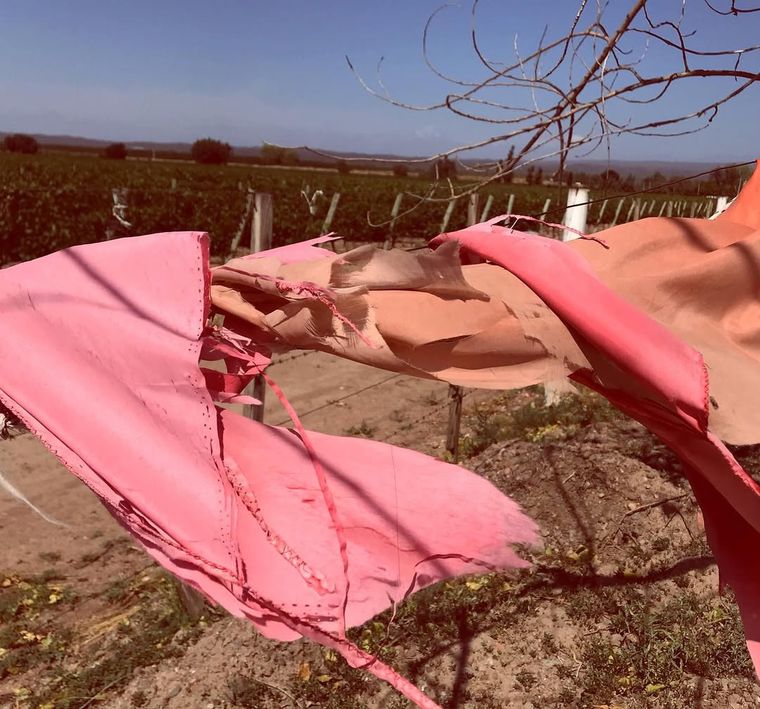 Homenaje en Luján de Cuyo. Homenaje en Luján de Cuyo.