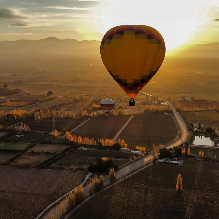 Los Caminos del vino ya no se limitan a recorrer viñedos o degustar distintas etiquetas; ahora incluye experiencias como viaje de globo sobre los viñedos. Foto: Mendoza Ballons