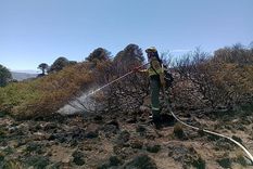 El Parque Nacional Lanin redobló el monitoreo y control para desactivar fogones y evitar incendios Foto: Instagram @pnlanin