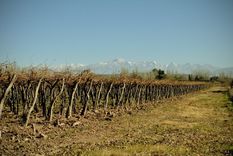 investigar para potenciar: llegan especialistas a barrancas y santa blanca