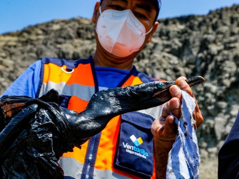 Foto: El Comercio Perú