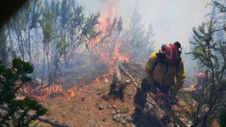 Foto: Foto ilustrativa