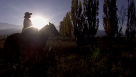Cabalgata entre viñedos: la experiencia de lujo y aventura en el Valle de Uco