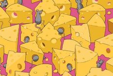 ACERTIJO VISUAL ACERTIJO VISUAL, RETO VISUAL, DADO Foto: ARCHIVO