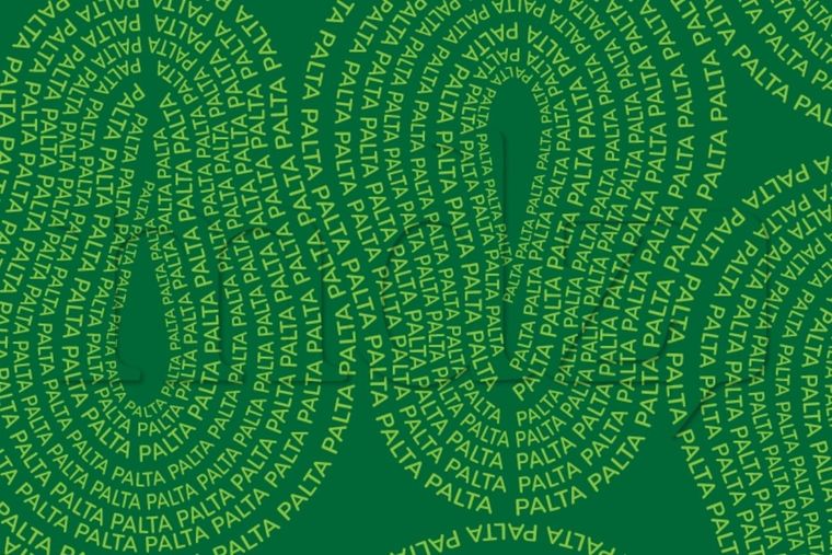 Acertijo visual Acertijo visual, reto visual, palabra Foto: MDZ Online