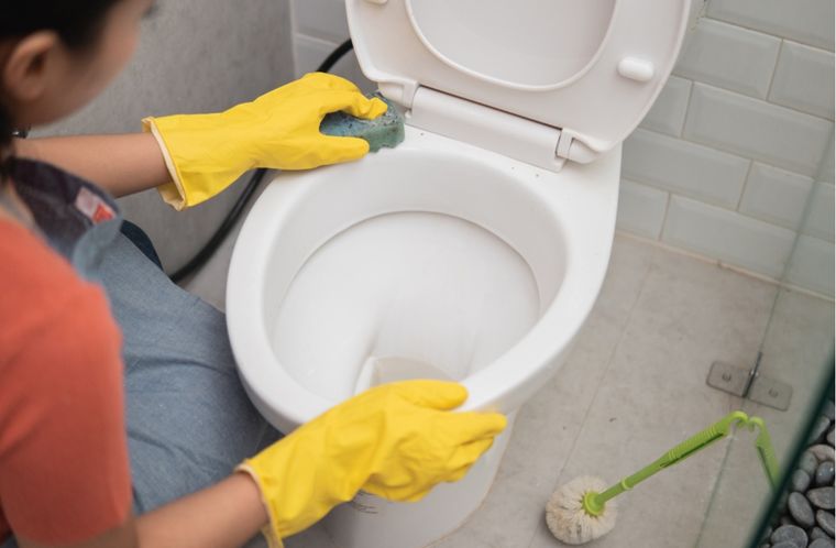 Limpieza Cómo eliminar el sarro del inodoro Foto: Shutterstock