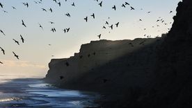 El pueblo de El Cóndor se recuesta sobre la costa atlántica de Río Negro, entre mar abierto y acantilados. El pueblo de El Cóndor se recuesta sobre la costa atlántica de Río Negro, entre mar abierto y acantilados.
