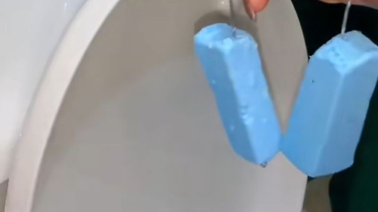 Tips cortos De facil utilidad. Foto: Anita Ceto