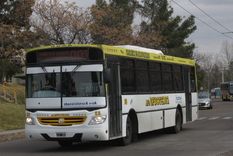 Foto: Ilustrativa. Foto: Ilustrativa.