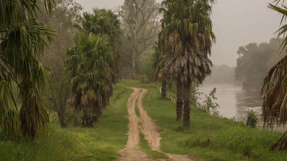 El pueblo santafesino donde el tiempo se detiene entre árboles y agua