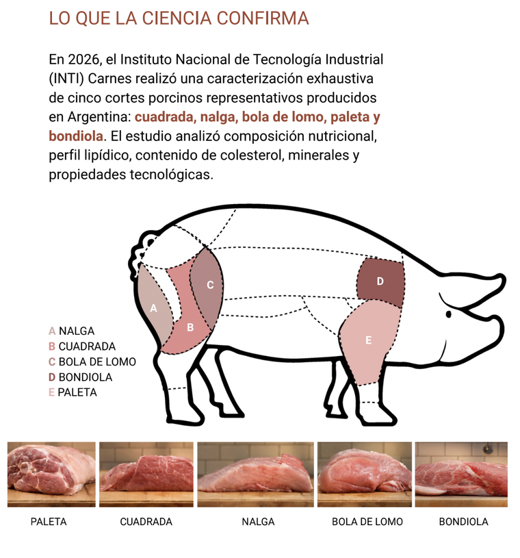 Los cortes de carne porcina que se analizaron en el estudio.