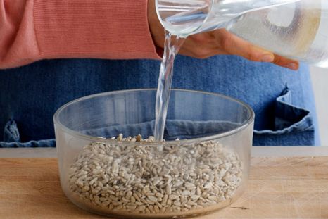 Las semillas de lentejas: deben remojarse entre 4 y 8 horas: las de almendras, entre 8 y 12 horas; las de avena, cebada y centeno, entre 6 y 8 horas (echándole al agua un poco de vinagre o limón) y las de nueces, entre 4 y 8 horas, también con un poco de vinagre y limón en el agua.. Foto: cuerpomente.com