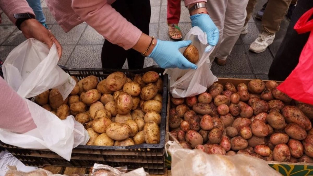 Día internacional de la papa: el cultivo andino que conquistó el mundo