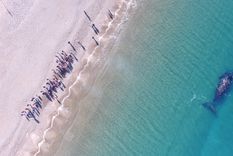Turistas observan una ballena franca austral Foto: Gentileza Maximiliano Jonas Turistas observan una ballena franca austral Foto: Gentileza Maximiliano Jonas
