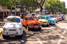 Se hizo oficial una histórica decisión que se tomó en Argentina con los Fiat 600 y que es una iniciativa del Museo del Fitito, ubicado en Caseros. Foto: Shutterstock