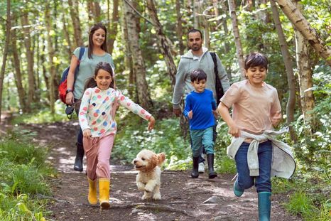 Pasar unos 20 minutos en la naturaleza puede provocar cambios cuantificables en tu organismo. Pasar unos 20 minutos en la naturaleza puede provocar cambios cuantificables en tu organismo.