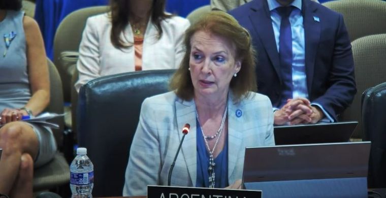 La canciller Diana Mondino durante su participación en la OEA