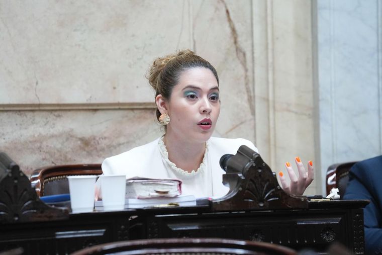 Diputada Lourdes Arrieta en el Congreso, esta semana, lanzando criticas a la Reforma Laboral.