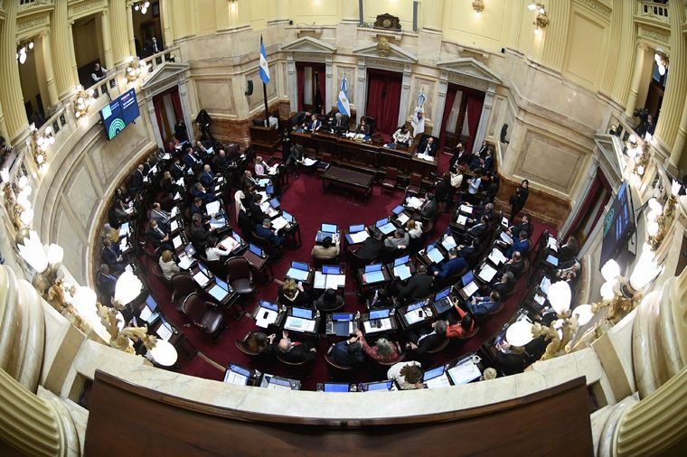 El Frente de Todos dio media sanción y envió el proyecto a Diputados. Foto: Télam