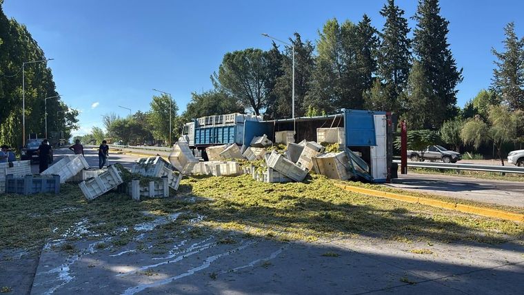 El acoplado volcó y la uva transportada ocupó parte de la carpeta asfáltica en la zona de El Carrizal, en Luján de Cuyo.