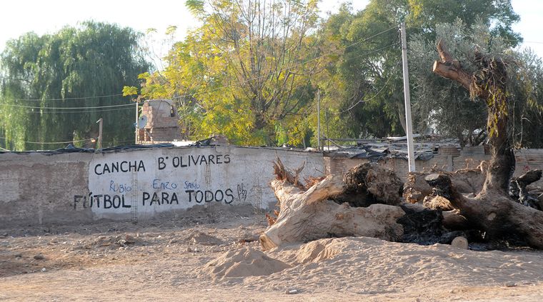 Foto: Pachy Reynoso/MDZ