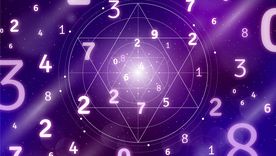 Estos son los números de la suerte de hoy. Estos son los números de la suerte de hoy.