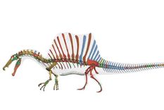 este fue el primer dinosaurio semiacuatico