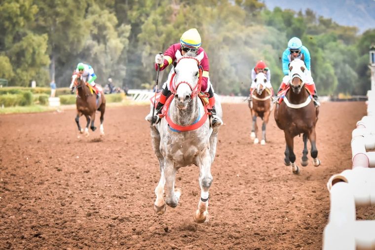 Lord Triumph va por un nuevo triunfo en el clásico del día. Foto: José Maluf