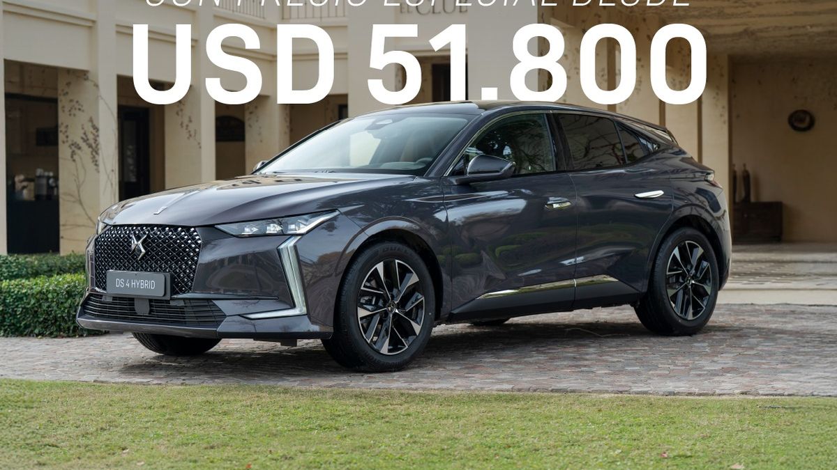 DS anunció que congela el precio de sus modelos: 