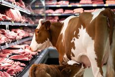 a la suerte hay que ayudarla, mas que un refran