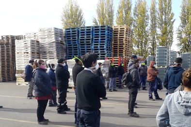 MDZol | Protocolos eb bodega Trivento.