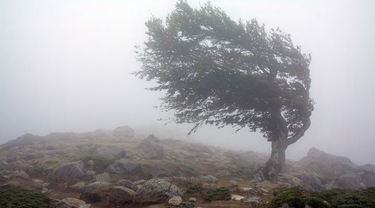 Las ráfagas de viento en Tierra del Fuego podrían superar los 90 kilómetros por hora Foto: shutterstock.com