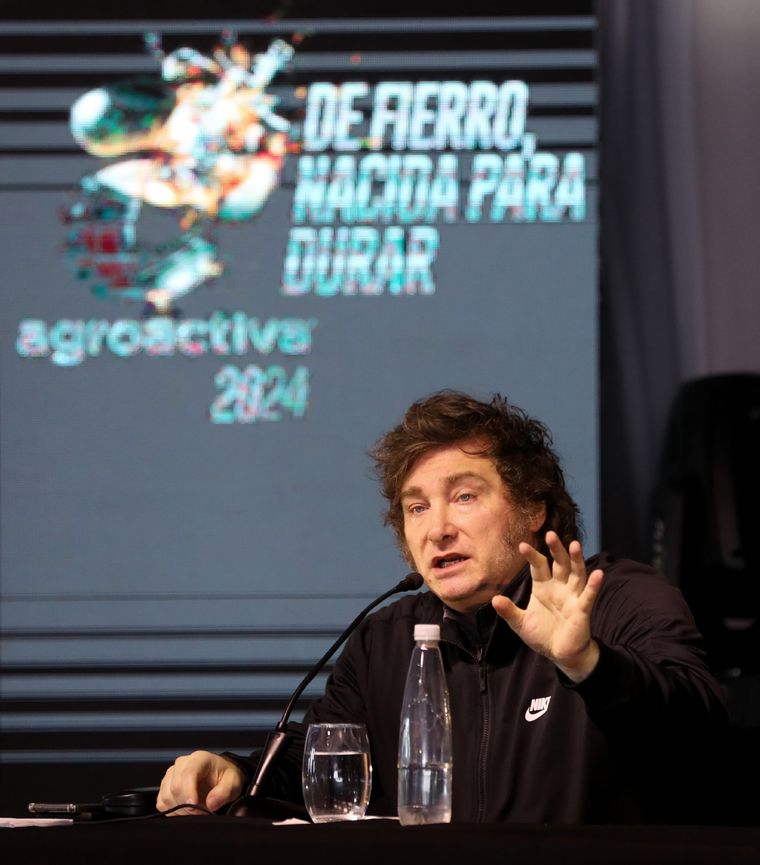 Javier Milei Foto: Noticias Argentinas