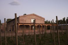 San Juan sorprende con una nueva bodega en Calingasta