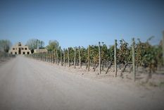 La bodega Catena Zapata lidera el ránking. Foto: Gentileza .fayeandsteve.com