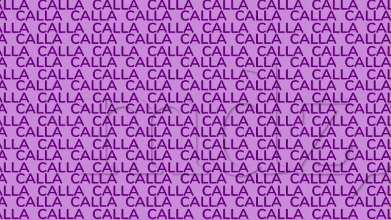 Acertijo visual, reto visual, letra Fuente: MDZ Online