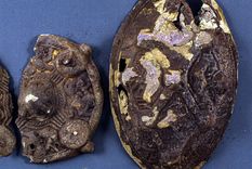 broches vikingos Noruega Los broches vikingos están en buen estado. Foto: Rune Nordseter/Kulturarv, Vestfold and Telemark County Council