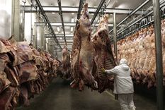 advierten sobre el cierre de frigorificos por baja rentabilidad