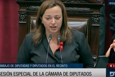 diputados trata la creacion de universidades nacionales