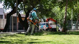 Las tareas se ejecutarán en arterias, plazas y barrios, sujetas a las condiciones climáticas. Las tareas se ejecutarán en arterias, plazas y barrios, sujetas a las condiciones climáticas.