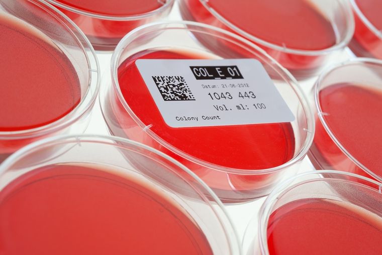 shutterstock Foto: shutterstock