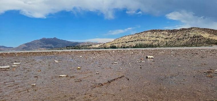 La basura en el Dique Potrerillos se acumuló formando una isla Foto: Gentileza