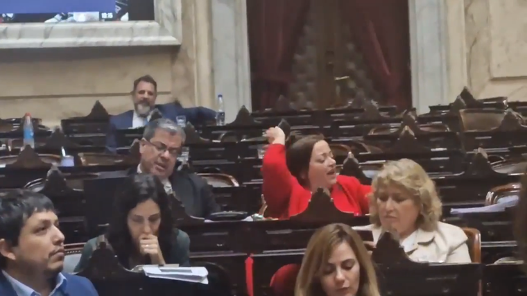 La bronca de los diputados kirchneristas. Foto: Captura de video