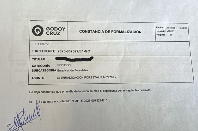 Los vecinos pedían la erradicación del árbol desde el año 2024. Los vecinos pedían la erradicación del árbol desde el año 2024.
