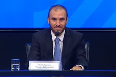 guzman confirmo un impuesto al dolar ahorro