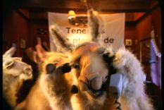 ¿te acordas? las canciones de publicidad mas pegajosas de la historia