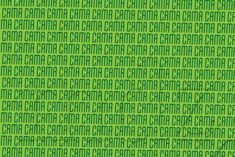 ACERTIJO VISUAL ACERTIJO VISUAL, RETO VISUAL, PALABRA Foto: MDZ ONLINE