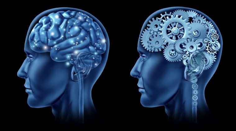 Foto: vladstudio.com